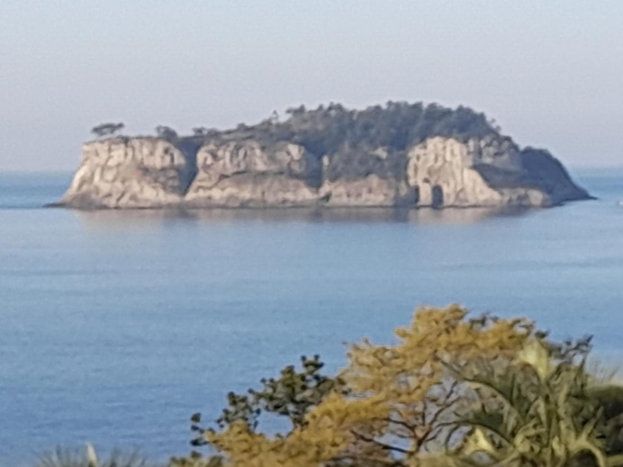 Haeansung Pension Σεογκουίπο Εξωτερικό φωτογραφία